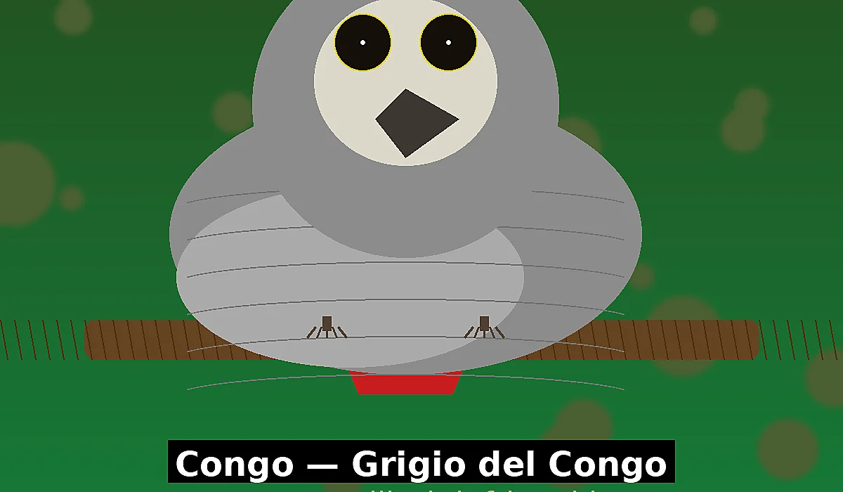 Grigio del Congo in vendita Italia